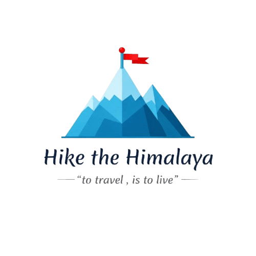 Logo Icon
