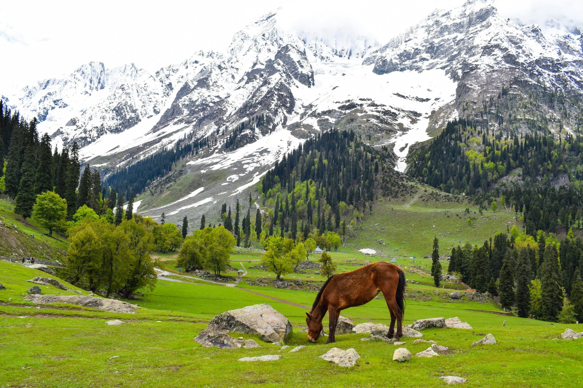 5 Hidden Treks in Himachal Pradesh You Need to Experience